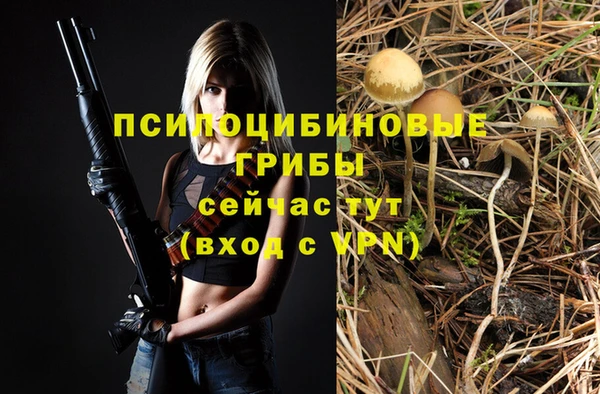 ALPHA PVP Волоколамск