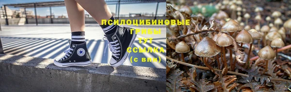 apvp Волосово