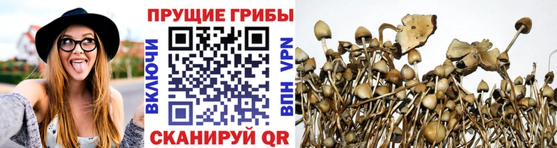 Псилоцибиновые грибы прущие грибы  Ростов-на-Дону 
